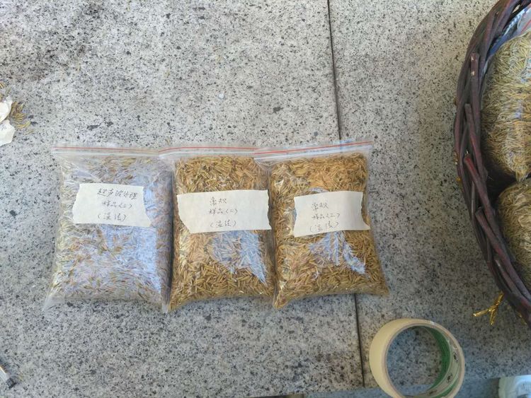 “超聲波處理對稻谷表面微生物的影響”發(fā)表論文啦??！