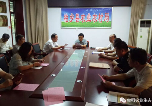 河北省邢臺(tái)市兩縣玉米試驗(yàn)田測(cè)產(chǎn)