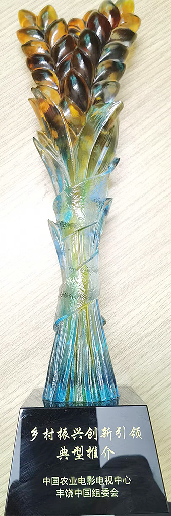 鄉(xiāng)村振興創(chuàng)新引領(lǐng)典型推薦